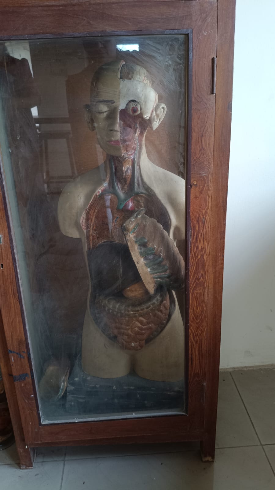 શાળાની સુવિધાઓ